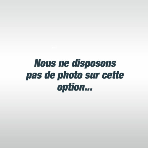 Rideau avec coulisse électrique AMOVIBLE